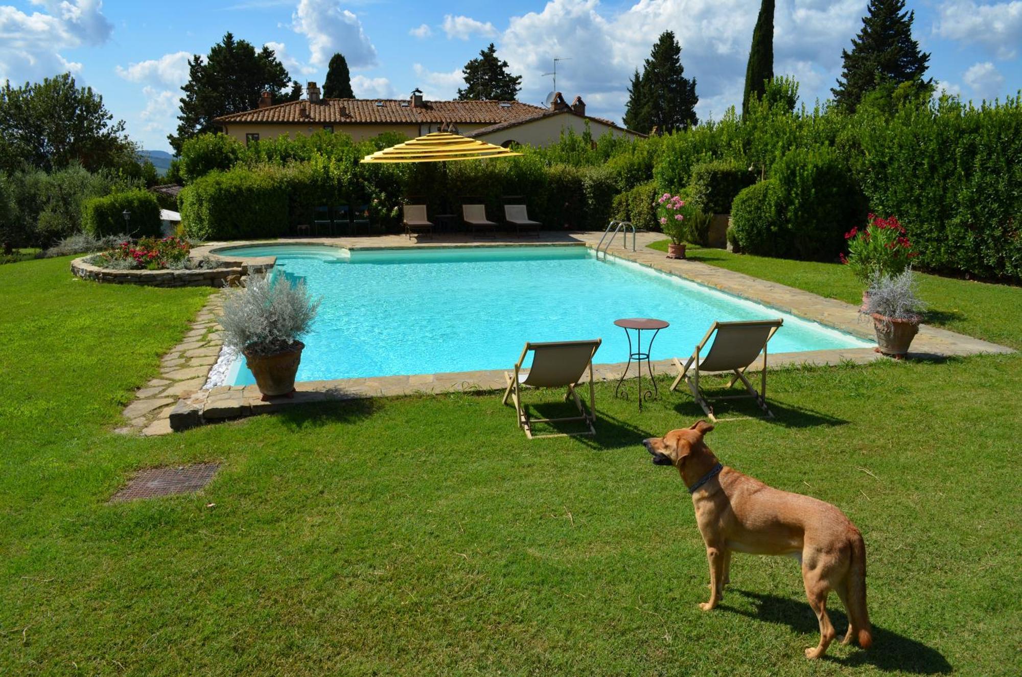 Dante Country House - Casa Con Piscina Privata E Jacuzzi Tra Firenze E Chianti Scandicci Exterior foto